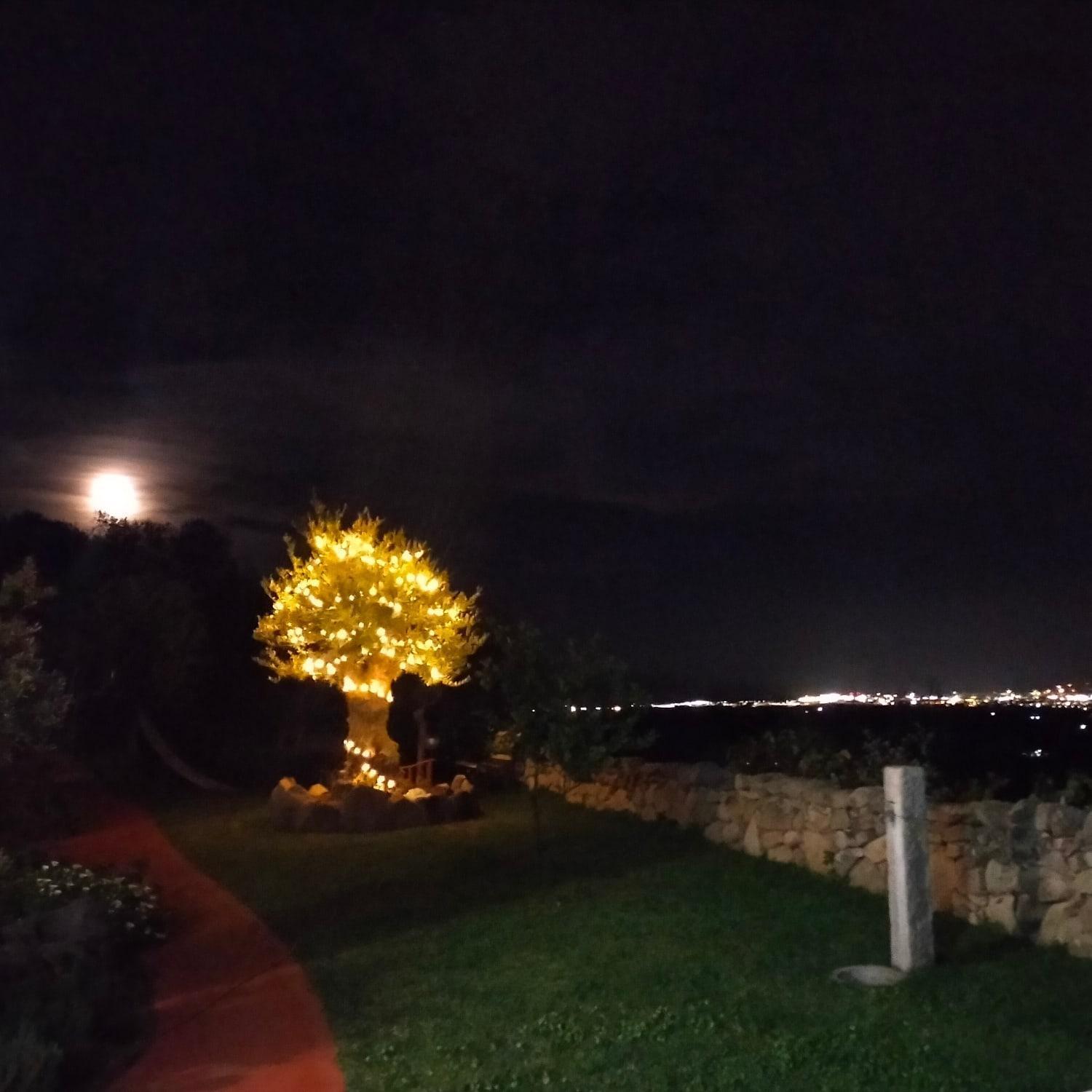 B&B Bellavista Sole Ruiu Buitenkant foto